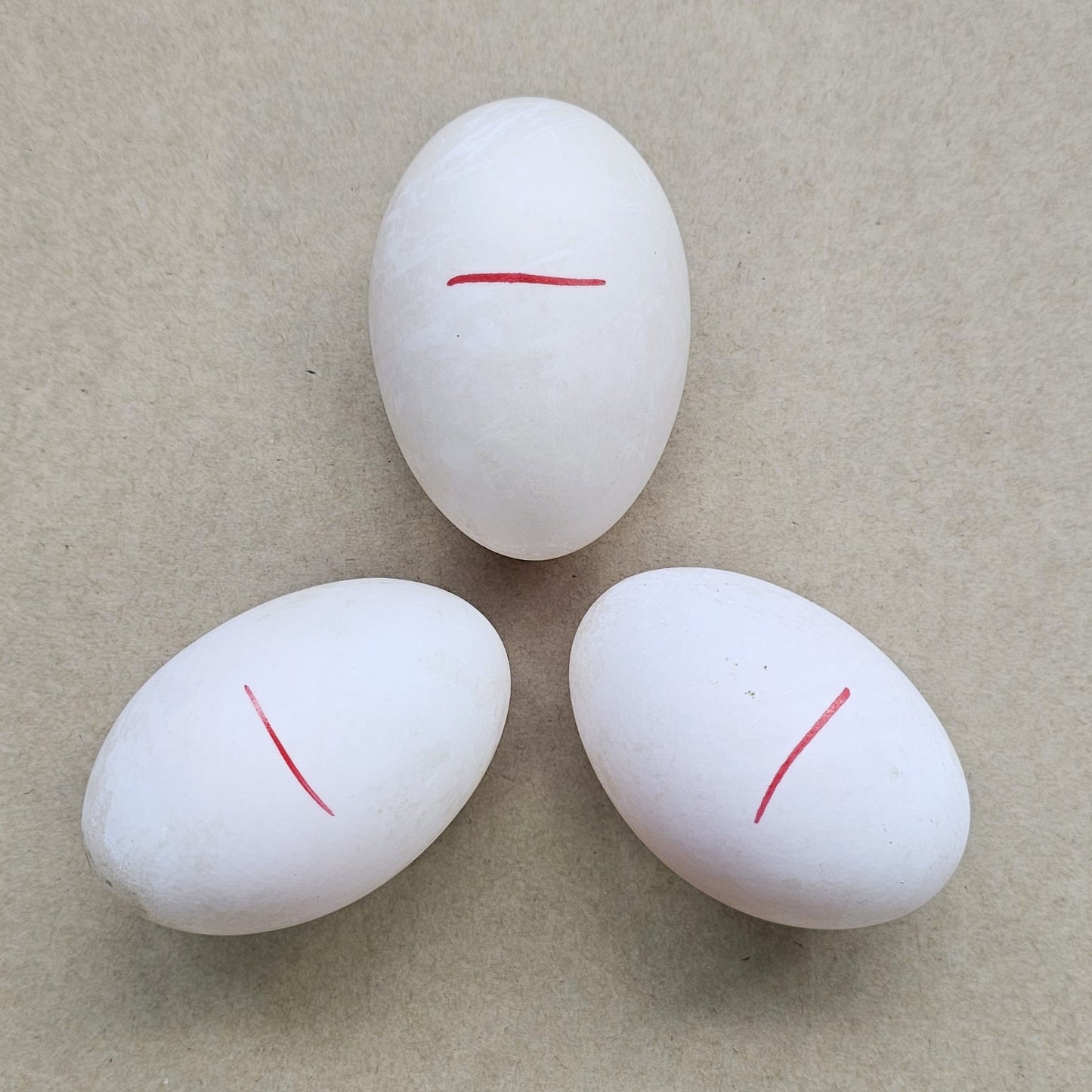 Balut (Hột Vịt Lộn) - Fresh New Zealand Duck Eggs