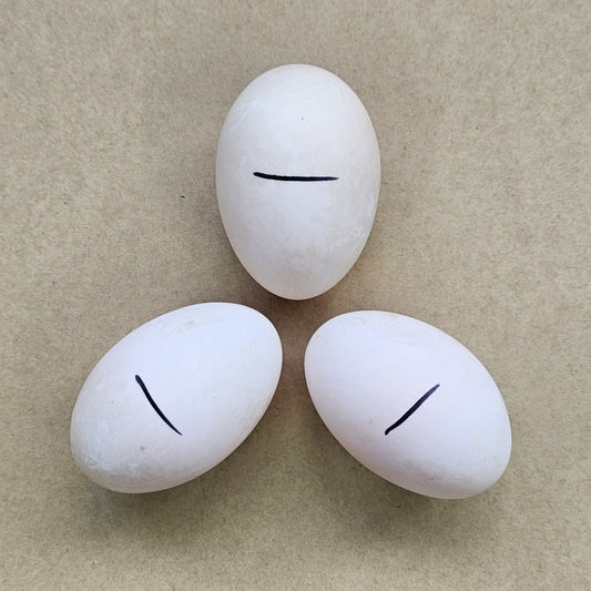 Penoy (Hột Vịt Dữa) - Fresh New Zealand Duck Eggs