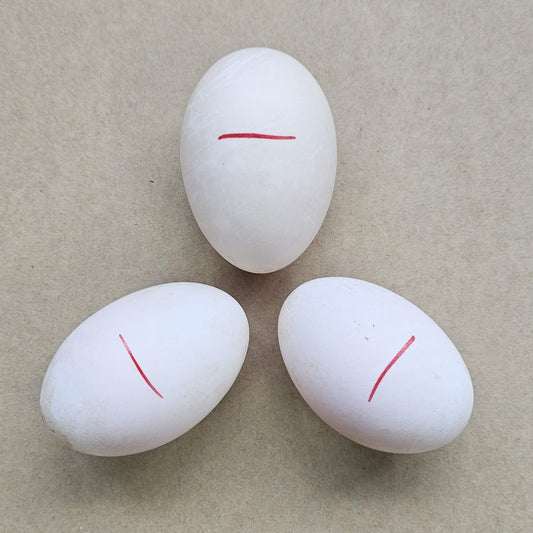 Balut (Hột Vịt Lộn) - Fresh New Zealand Duck Eggs