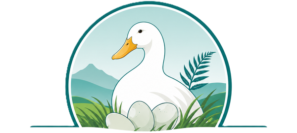 New Zealand Duck Eggs